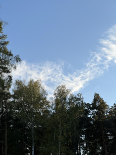 Видеоподборки для релакса 