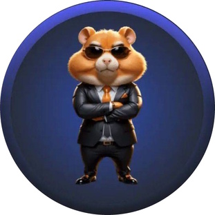 Комбо хомяков сегодня - Humster Combat Комбо