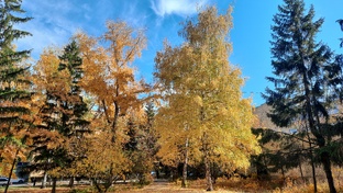 Мысли женщины...