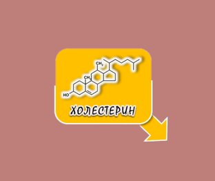 Правда о холестерине. Атеросклероз.