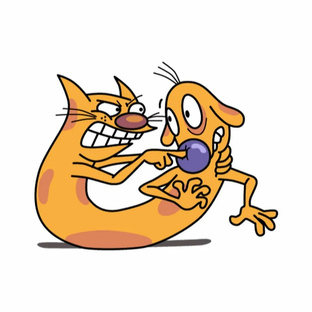 КОТИКИ И ПЕСИКИ 