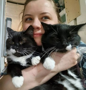 Как все начиналось