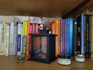 Челлендж "Книжная полка"