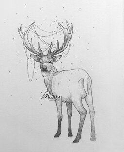 Путешествие на Кольский полуостров