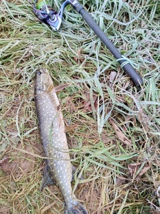 Рыбалка и грибалка