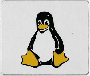 Linux 