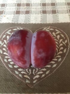 Не деЦкие сказки