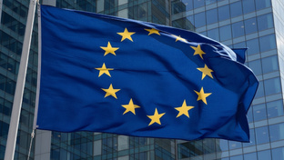 Визы, ВНЖ и гражданство