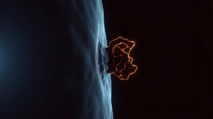 ИНСУЛИНОРЕЗИСТЕНТНОСТЬ