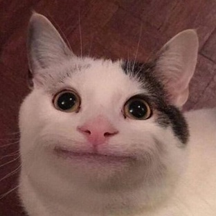 aFDFsdfsdf