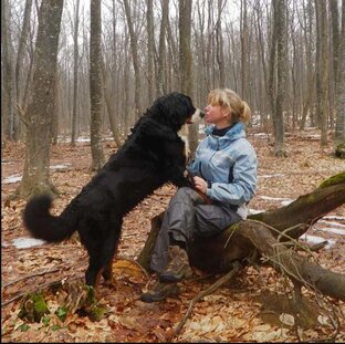 Живность дома и за дверью