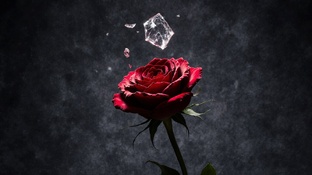 Анатомия измены