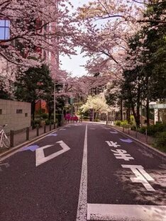 Факты о Корее🇰🇷