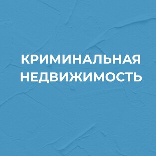 Криминальная недвижимость