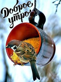 Доброе утро! 