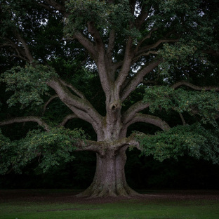 Путешествие 
