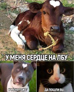 Забавно