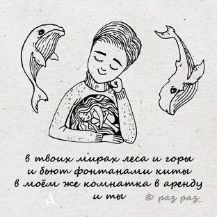 Авторские порошки под ником раз раз_