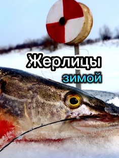 Жерлицы зимой