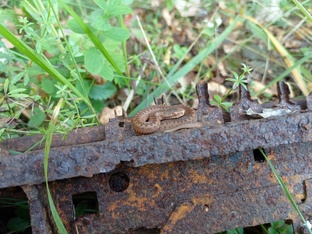 Путешествия