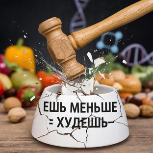 Рубрика «Мифы»