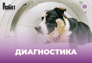 Диагностика