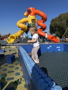 Интересное в Подмосковье 