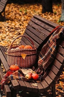 ЭНЕРГОПРОГНОЗ/НАСТРОЙКА НА НОЯБРЬ 2025