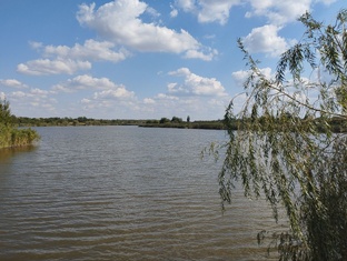 Сладость без выпечки