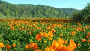 Моя Хакасия, моя Сибирь!