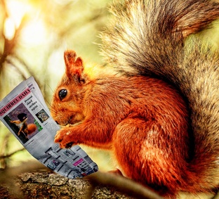 О САМОГОНЕ С ЮМОРОМ