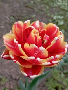 Важное сегодня. 