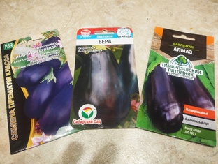 Садоводство для начинающих