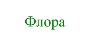 1. Растения. Флора. 1251484