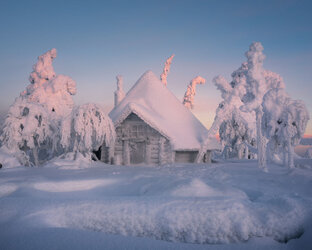 Новый год. Рождество. Зима