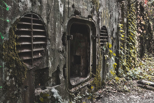 Последний сад Третьего Рейха