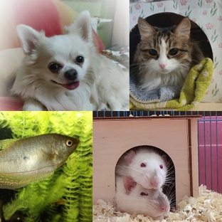 Такие разные, но вместе!