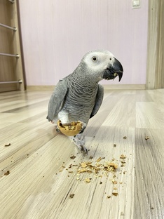 Разговоры с Маргошей