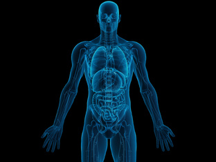 Звуки тела человека