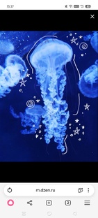 Мᥙρ дᥱндᥙ 🌹