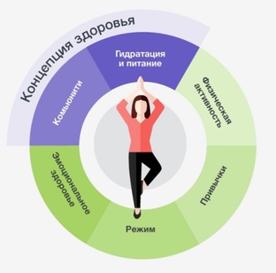 КОНЦЕПЦИЯ ЗДОРОВЬЯ