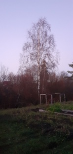 Дачная жизнь.