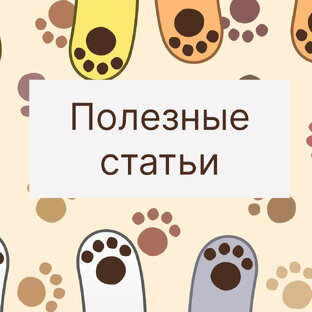 Полезные статьи