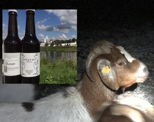 На кого  оставить козу?