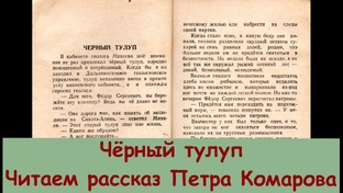 Пётр Комаров и Комаровские чтения