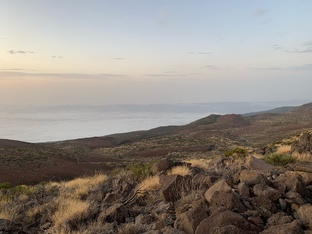 Квартальные отчеты