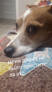 мне давно не было простите за это просто дела были