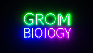 Grom biology 