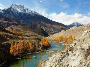 ЗАПИСКИ БУШКРАФТЕРОВ