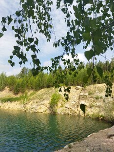 Советы для жизни и добрые мысли. 